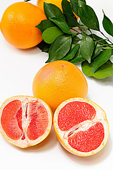 soi cầu miễn phí hôm nay