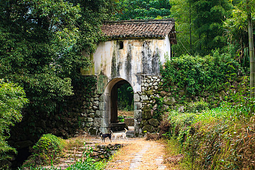 soi cầu xổ số tiền giang
