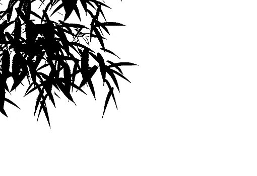 xổ số miền bắc thứ sáu hàng tuần
