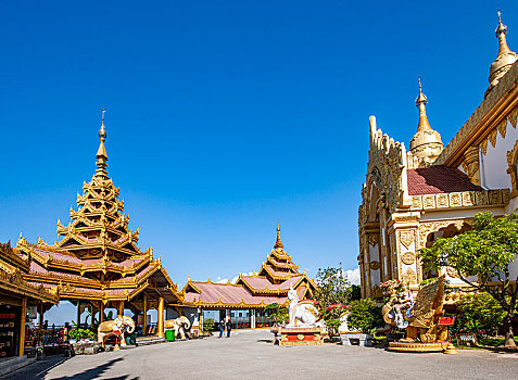 soi cau mb rong bach kim