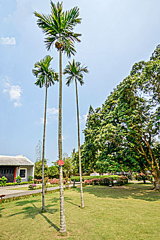 sxmb30ngày