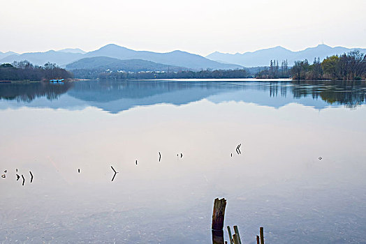 rong bach kim du doan xo so mien bac
