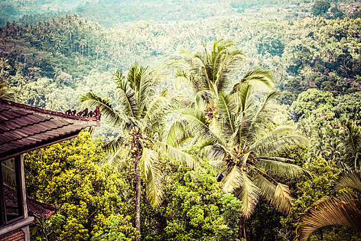 soi cau bach thu lo de