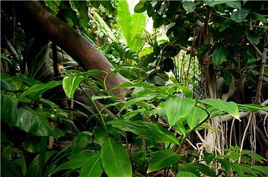 bạch thủ lô hôm nay miễn phí