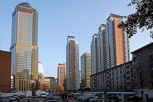 xs rong vang bach kim