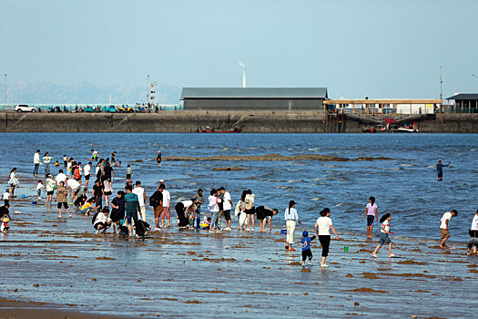 soi cầu bạch kim