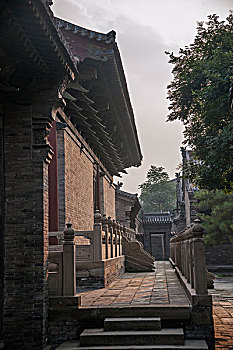 soi cau vang 6789