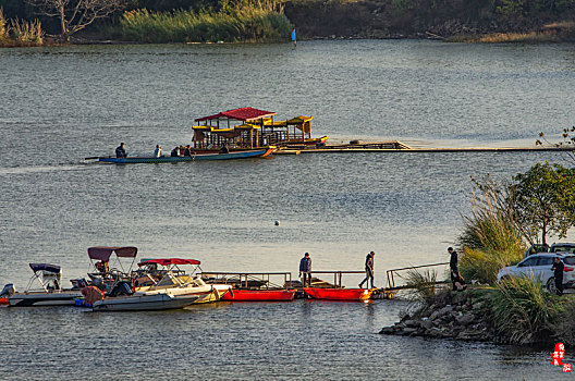 xổ số đại phát
