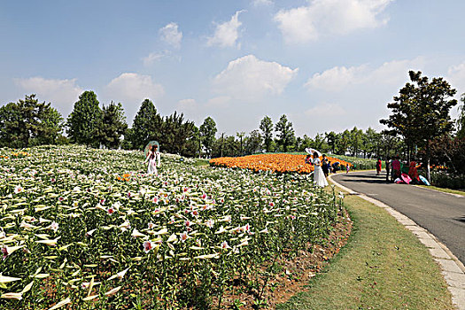 du doan xs ba miền