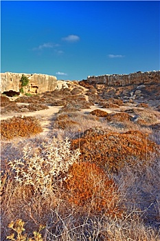 xsmb cau bach thu