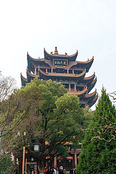 soi cau hau giang