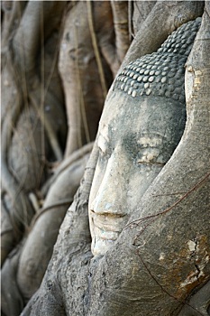 cầu bạch thủ mb