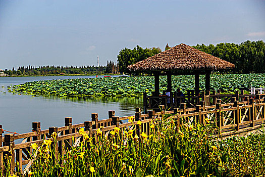 soi cầu chuẩn miễn phí 888