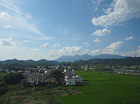 xshcm minh ngoc