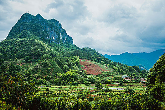 cầu số đề
