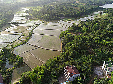 lo song thu hom nay