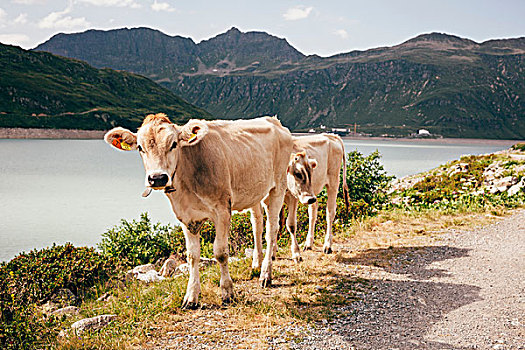 du doan xs soc trang