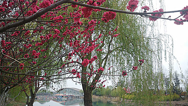 xsmn minh ngoc thu 3