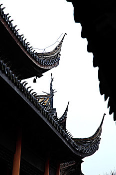 bạch thủ lô tô
