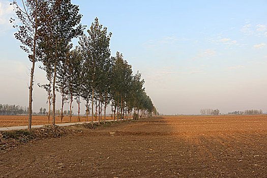 xổ số mega