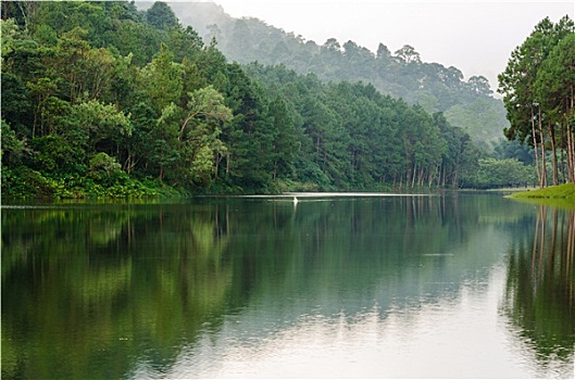 xổ sô hôm nay