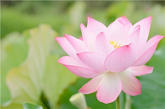 xổ số miền nam xổ số miền nam xổ số miền nam