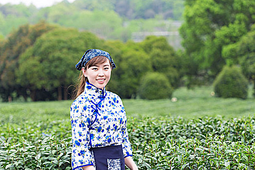 soi cầu vàng 6789