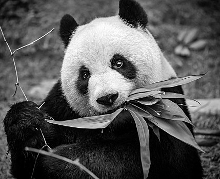 dự đoán kết quả xổ số miền nam ngày mai