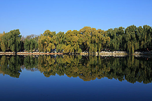 lo đề 88