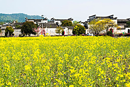 thống kê soi cầu bạch thủ