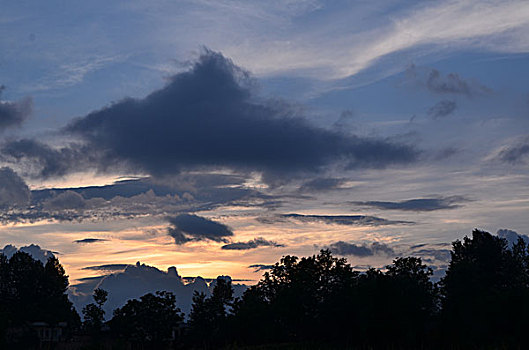 bạch thủ đề chuẩn