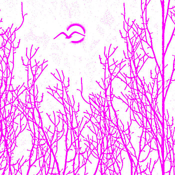 xsmn 7