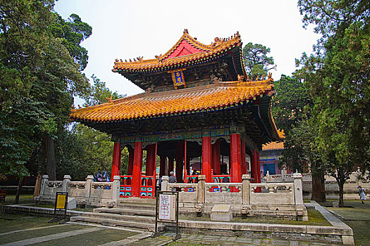 soi cau lo chuan hom nay