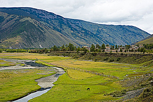 xsmb cau bach thu