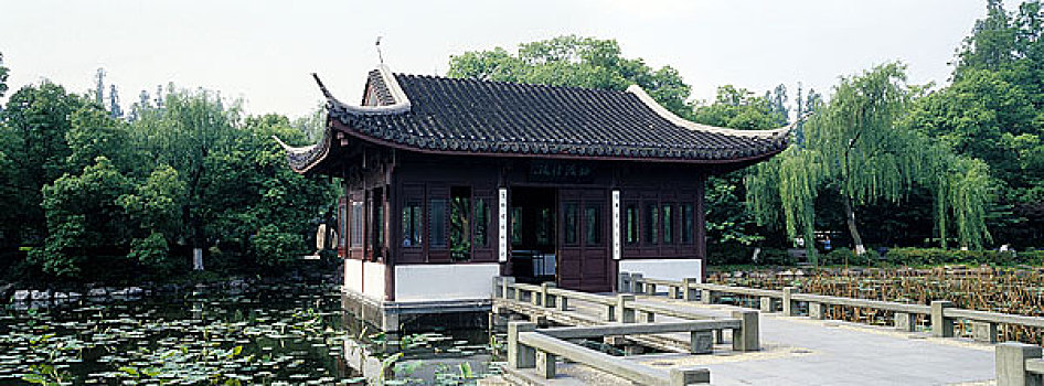 xs đai phat
