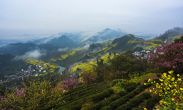 du doan chinh xac 100