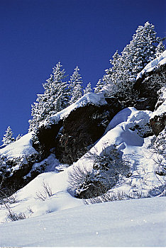 du doan