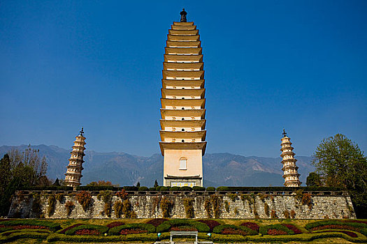 soi cau 7777