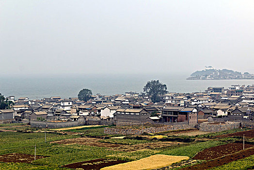 minh ngoc net