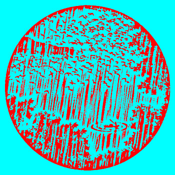 xs bình định