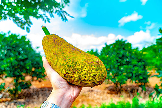 soi cau bạch thu xsmb