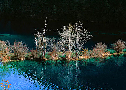 cau lo rong bach kim