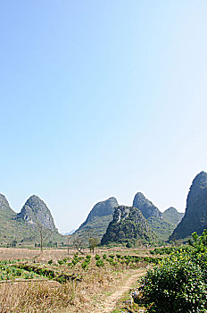 cách soi cầu