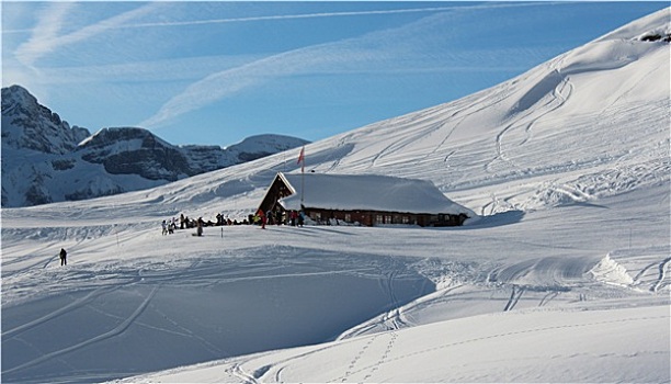 soi lo rong bach kim