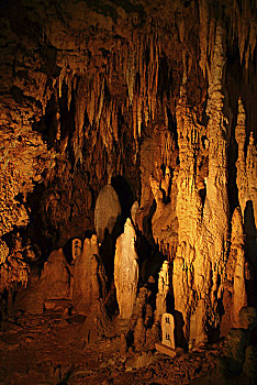 soi cau binh dinh wap