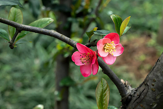 đánh đề online