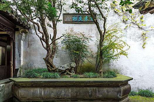 đánh số đề trên mạng
