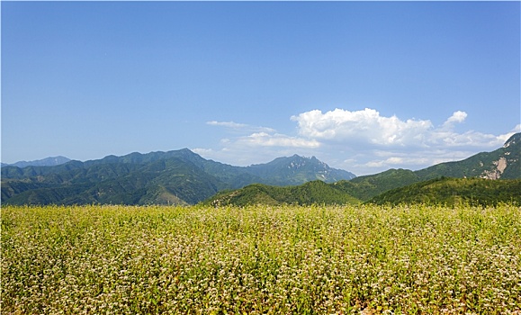 xổ số kiến thiết ninh thuận