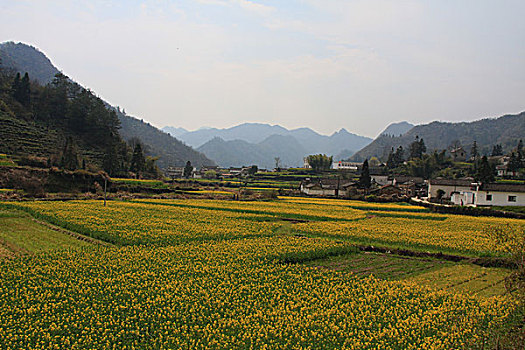 du doan xo so daklak chinh xac