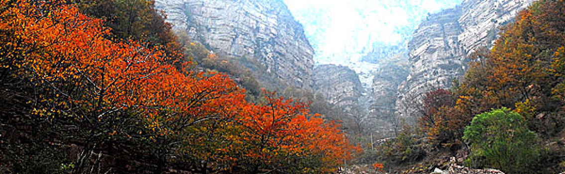 số hôm nay